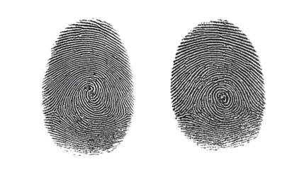 Detailed Fingerprint Impressions on Transparent Background for Forensic Analysis and Security Applications