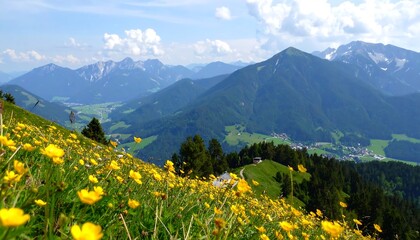 Panoramic alpine meadow with wildflowers and mountains