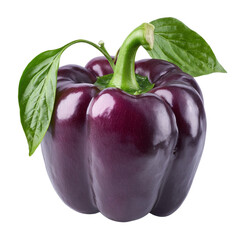 Glossy purple bell pepper with leaves on transparent background