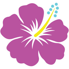 set of pink flowers, flower 