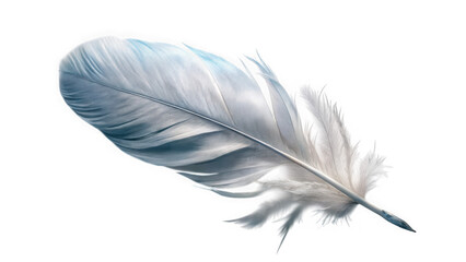 Obraz premium Delicate light blue feather isolated on transparent background