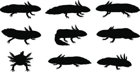 Axolotl silhouette collection in various poses, black vector icons for aquatic animal design, amphibian illustration, pet artwork, and wildlife decoration.