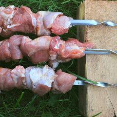 Shashlik on metal skewers absorbs spices before cooking on the grill. Meat recipe for grill menu at...