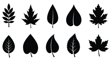 Collection of various leaf silhouettes on a white background