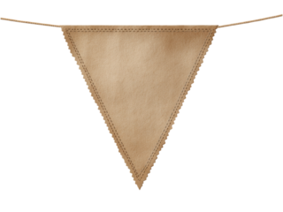 Empty Brown Paper Pennant Banner on a String for Decorative Events and Celebrations