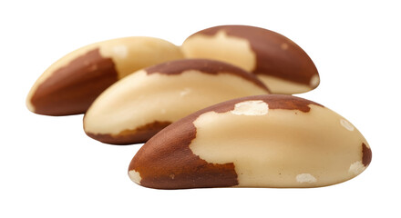 Isolated Brazil Nuts