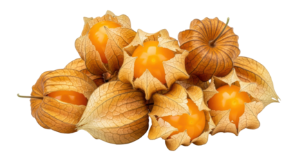 Isolated Physalis peruviana