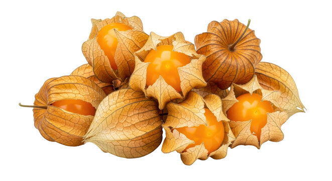 Isolated Physalis peruviana