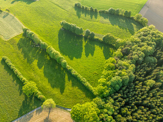 Aerial view of landscape pattern in Switzerland. Fields and hedges in canton of Fribourg in Sense district. Warm sun light in the evening.