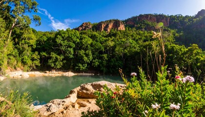 Lush valley with a tranquil pool