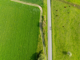 Aerial view of rural road through countryside meadows and farmland in Canton of Fribourg in Switzerland. 