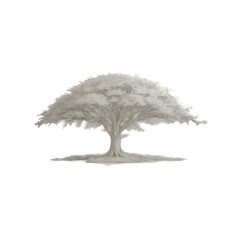 Large Stylized Tree With Intricate Branches And Detailed Foliage Rendered In Monochrome Against A Transparent Background