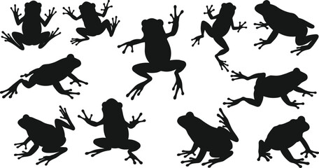 Frog silhouette collection in various poses, sitting, jumping, and climbing, black vector icons for wildlife, nature, amphibian, and animal illustration design.