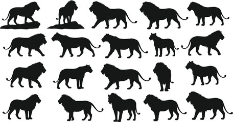 Lion silhouette collection in various poses, male and female lions, black vector icons for wildlife design, safari illustration, and animal artwork.