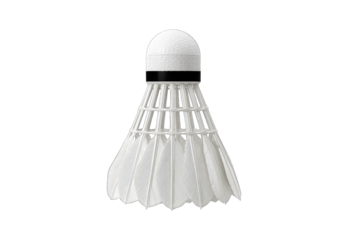 White shuttlecock with black band