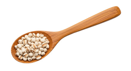 Isolated Wooden Spoon with Job's Tears Seeds