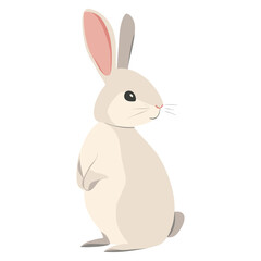 Obraz premium Rabbit illustration animal bunny vector