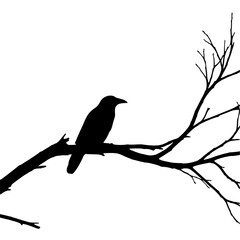 Striking black and white illustration of a solitary bird, possibly a crow or raven, silhouetted on a bare tree branch, capturing the quiet beauty and minimalist essence of nature.