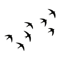 Flock of Swallows Silhouette Vector Illustration on White Background