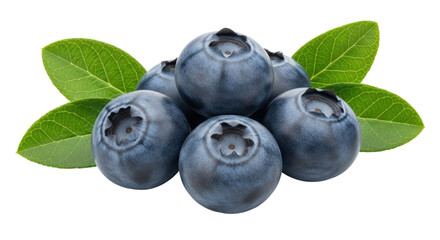 Isolated Blueberries