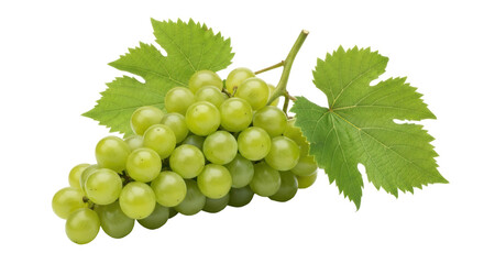 Isolated Green Grapes Bunch