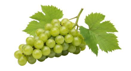 Isolated Green Grapes Bunch