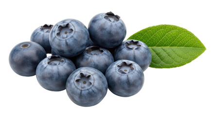 Isolated Blueberries