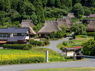 由良川の堤防から見る夏の美山かやぶきの里