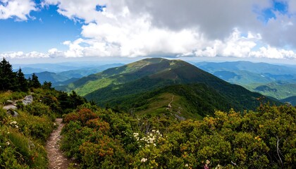 Panoramic mountain vista (1)
