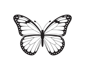 Big butterfly icon, butterfly silhouette, butterfly sticker,  vector illustration EPS 10.
