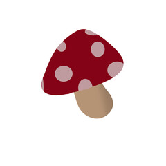mushroom illustratio 