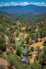 Mountain valley with flowing stream