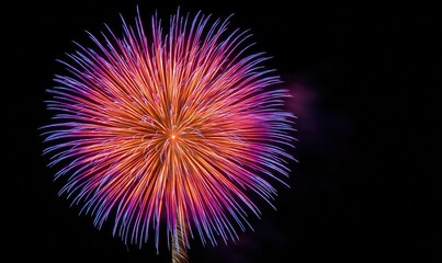 Exploding fireworks display of vibrant pink and purple