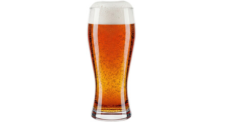 Isolated Glass of Light Beer with Foam