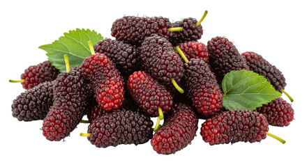 Isolated Mulberries
