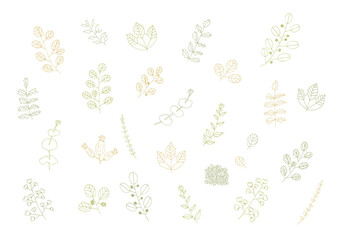 シンプルな植物の手描きイラスト2