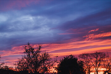 intense golden and pink sunrise clouds over suburban australian backyard