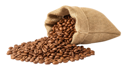 Isolated coffee beans in a burlap sack