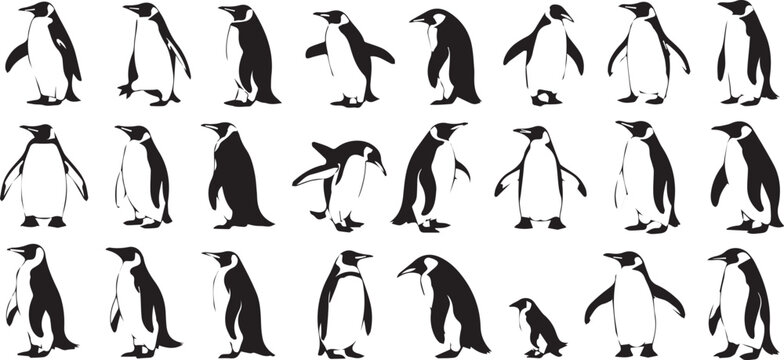 set of 24 black and white penguin vector illustrations in ai eps jpeg png formats showcasing playful bird poses