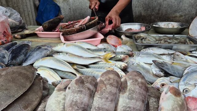 a fishman is cutting fish