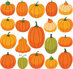 A Collection of Diverse Pumpkins in Various Shades of Orange and Green