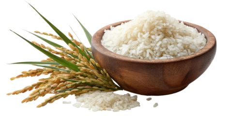 Wooden bowl filled with white rice,  with rice stalks