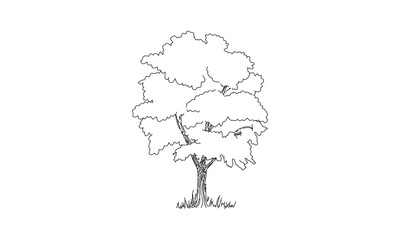 Minimalist Line Drawing of a Tree with Detailed Foliage and Branches in Black and White