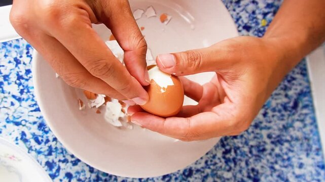 Egg-laying hens in poultry farm with fresh eggs for food consumption. Organic chicken farming producing healthy protein and sustainable food source for agriculture and culinary industry.