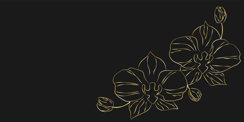 Elegant gold line art illustration of orchid flowers with buds on black dackground. Vintage botanical design © Iryna