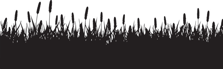 Obraz premium Wild Grass & Grain Vector Set