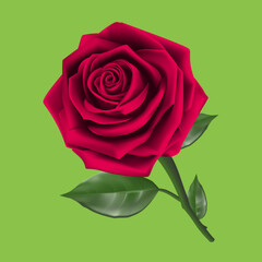 Fototapeta premium A single perfect red rose with green leaves and thorns isolated on green background. Rose PNG. 
