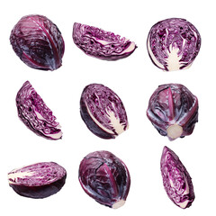 Fresh red cabbages isolated on white, collage
