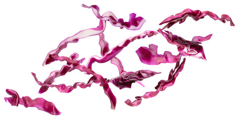 Shredded fresh red cabbage falling on white background