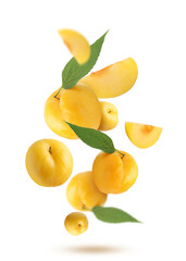 Fresh ripe cherry plums with green leaves falling on white background